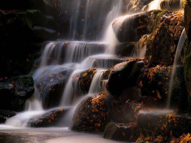 https://www.flickr.com/photos/wwarby/4086439954